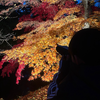 耀桜(あきお)