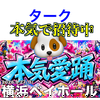 ターク🐈‍⬛❄️