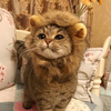 よっちゃん🤸‍♀️