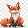 キツネじじぃ🦊