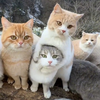 ねょねょ ‌‌‌‌ ‌