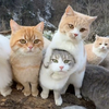 おそま