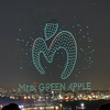 グリーンApple🍏【もふ村長🏍🐥MG】