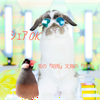 兎の『はっくん』と飼い主『なぉ』🐰🐥⸒⸒