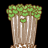 カイワレ