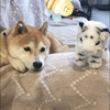 にこにこ