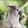 いっち🐇💕🗿