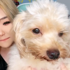 ちょぱのペット🌺💙´•ﻌ•`🐾