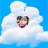 そら🍅‎🤍#新人王