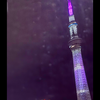 ただチャム(りぃちゃむ推し)