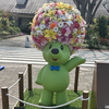 かめ