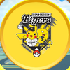なっさん𓃭  💛🐯&🩷⚾️  🦩🦋🍫🦧 