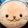 無音のぽん🐰🥕