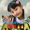 りくたん🦋🥑さあにゃんガチ協力お願い🙇🏻🙇🏻