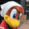 コーヘー