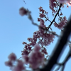 やじろ🐧🌾【アユム🐧🌾推し】