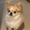小太郎まま