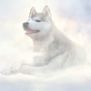 ゆきな