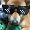 貴