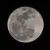 満月🌕