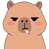 (❄️´🫦`❄️)🈳ྀི𝓐𝓜𝓘ྀི🍼🐨