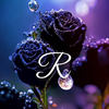 RUMI