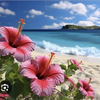 ちゃんぽん🌴🌺