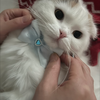 ひろひろ
