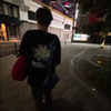 ただのﾒﾝば や し