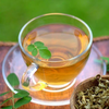 🌳モリンガ茶🍵