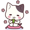 ( ͜茶 ･ω･) ͜茶