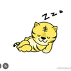 🐯ﾞ🐰ྀི💎