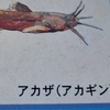 みきてんー
