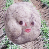 じゃが・いも　と申します🥔🕯