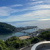 藍おし