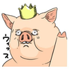 こぶた🐖