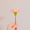 めいな🍣🌸