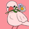 とり #なんとかなれーッ