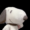 君ちゃん