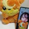 楓月