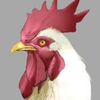 ずおん
