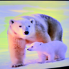 まるちゃん