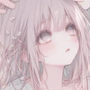 *˚𝒩