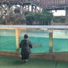 らん🏝️🐬