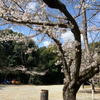テル