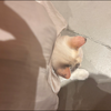 むく