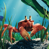 カニノミッソ🦀