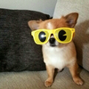 あっきー