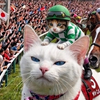 🐈‍⬛⋆💎スナフキン🏍🩵はんめ隊 
