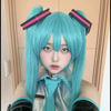 MiREI